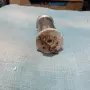 За радиолюбители , снимка 2