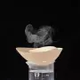 3D подплънки за бански и сутиен с пуш-ъп ефект., снимка 14