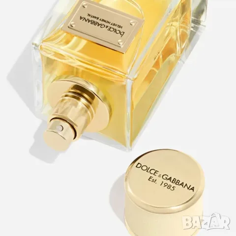 Velvet Honey Santal by D&G decants