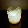 Фенер със скелетни листа, снимка 15