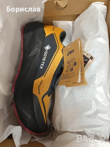 Asics Novablast GTX