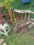 Диканя и старо рало - 2 бр, снимка 2