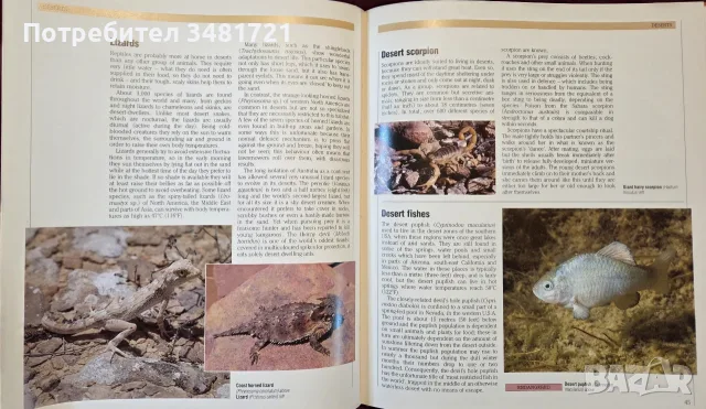 The Encyclopedia of World Wildlife, снимка 8 - Енциклопедии, справочници - 56715705