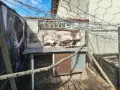 Продавам пауни Арлекини и индийски, снимка 1