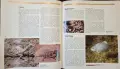 The Encyclopedia of World Wildlife, снимка 8