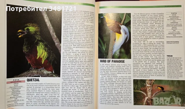 The Encyclopedia of World Wildlife, снимка 6 - Енциклопедии, справочници - 56715705
