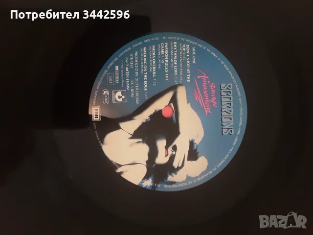 Scorpions savage amusement, снимка 2 - Грамофонни плочи - 56579104