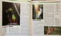 The Encyclopedia of World Wildlife, снимка 6