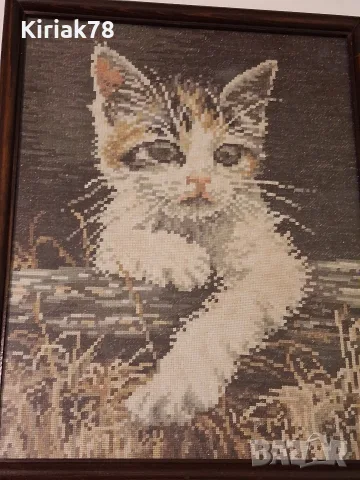 Гоблен "Коте" рамкиран, снимка 7 - Гоблени - 56584741