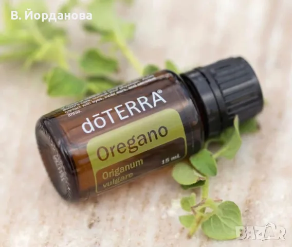 Риган Oregano Doterra 