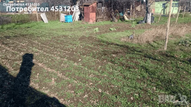 ВИЛА С ЛОЗЕ И ОВОШКИ