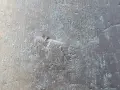 Чан звънец камбана 11,5 см, снимка 4