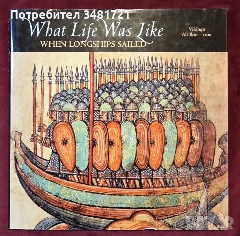 What Life Was Like When Longships Sailed