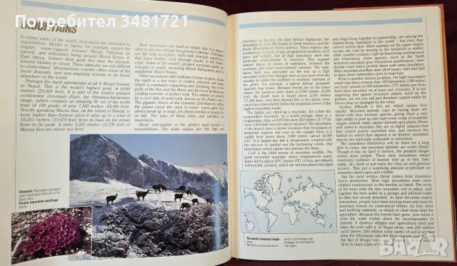 The Encyclopedia of World Wildlife, снимка 10 - Енциклопедии, справочници - 56715705