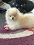 Момче с маска на три месеца , снимка 3