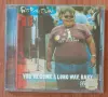 FAT BOY SLIM- cd, снимка 1