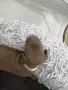 Malko porasnali bebceta🤍, снимка 5
