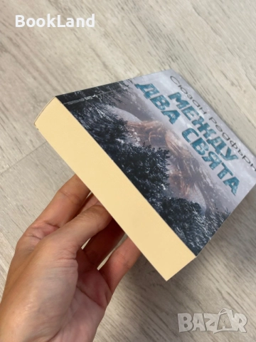 Между два свята | Сюзан Редфърн, снимка 5 - Художествена литература - 56707270