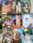 Календарчета котки , снимка 3