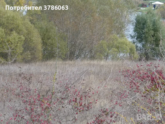 Продавам парцел, снимка 4 - Парцели - 56747251
