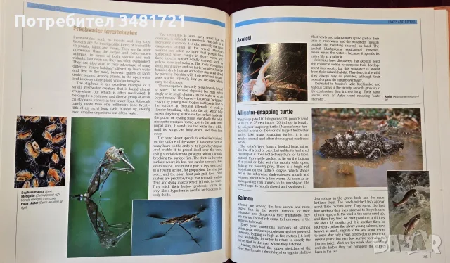 The Encyclopedia of World Wildlife, снимка 11 - Енциклопедии, справочници - 56715705