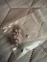Сребърни обици за пъпче, снимка 1