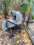Бебешка количка Чиполино , снимка 5