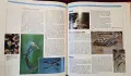 The Encyclopedia of World Wildlife, снимка 11
