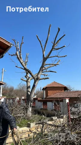 рязане на дърва Луковит , снимка 4 - Други услуги - 56714755
