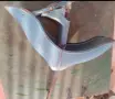 Части от соц мотори, снимка 12