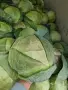 Прясно и крехко зеле Кьосе , снимка 2