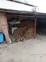 Продавам Нацепени дърва , снимка 2