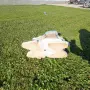 Порцеланова ретро камила, снимка 5