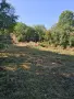 Парцел в регулация! Ток ,вода!, снимка 1