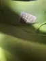 Футболни обувки  Adidas, снимка 11