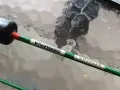 стари пръчки .., снимка 5