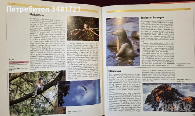 The Encyclopedia of World Wildlife, снимка 12 - Енциклопедии, справочници - 56715705