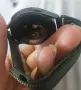 Смарт Часовник Samsung Galaxy Watch 4 44mm, снимка 4