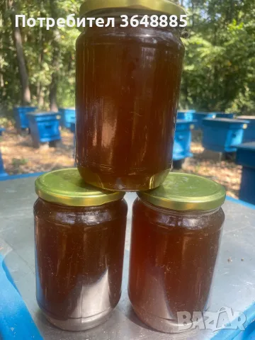 Натурален био-пчелен мед , снимка 8 - Пчелни продукти - 56711764