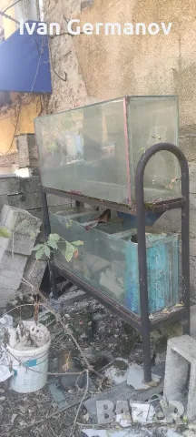 Аквариуми 3 броя, снимка 2 - Аквариуми - 56558951