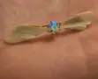 Винтидж брошка във формата на пеперуда, снимка 3