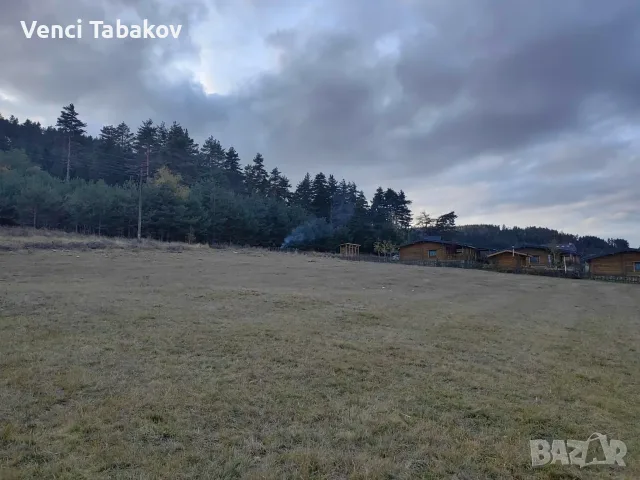 Земеделска земя, снимка 7 - Земеделска земя - 56584734