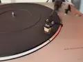 Denon dp f21 топ съснояние, снимка 3