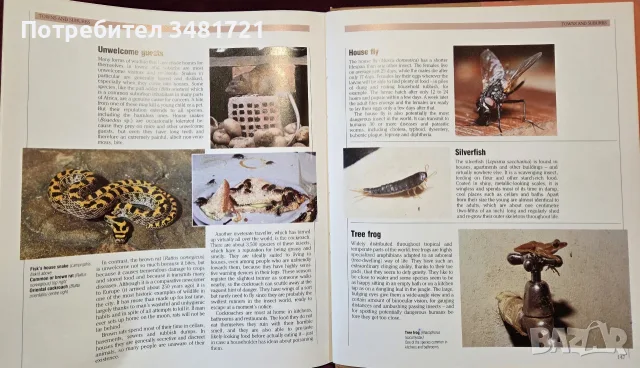 The Encyclopedia of World Wildlife, снимка 13 - Енциклопедии, справочници - 56715705