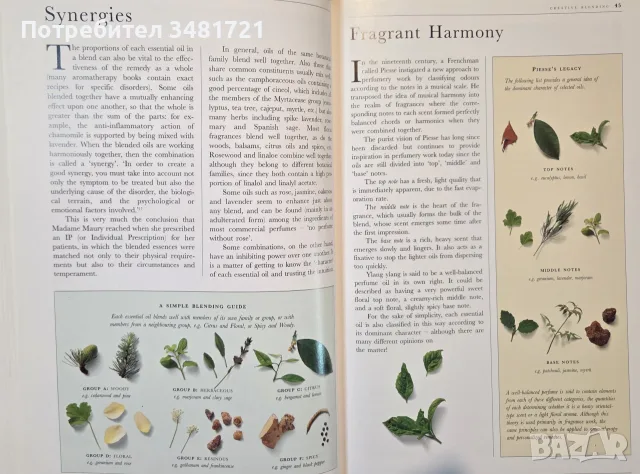 The Illustrated Encyclopedia of Essential Oils, снимка 6 - Здраве, медицина и спорт - 56715727