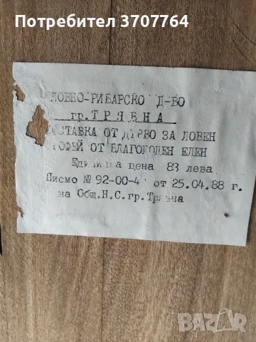 трофей благороден Елен , снимка 2 - Декорация за дома - 56689246