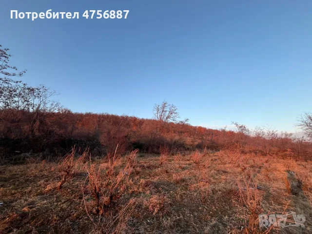 Земеделска земя , снимка 3 - Земеделска земя - 56598227