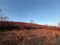 Земеделска земя , снимка 3