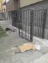 Метални Дворни Врати, снимка 6