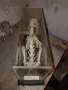 Ретро скелет на заек , снимка 4